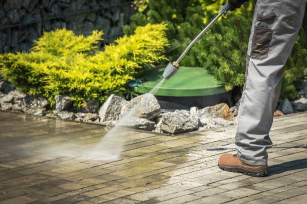 Best Sidewalk and Walkway Cleaning  in Bonnie Brae, IL