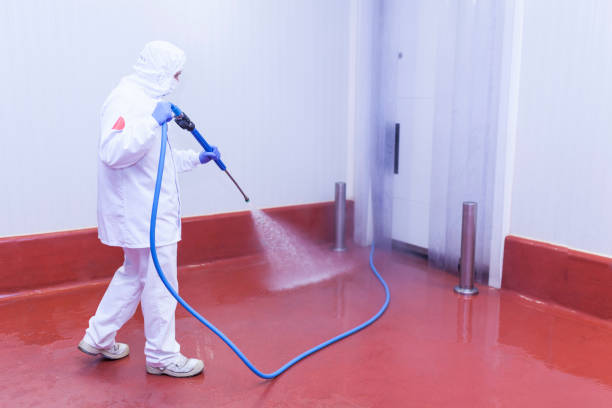 Bonnie Brae, IL Pressure Washing Services Company